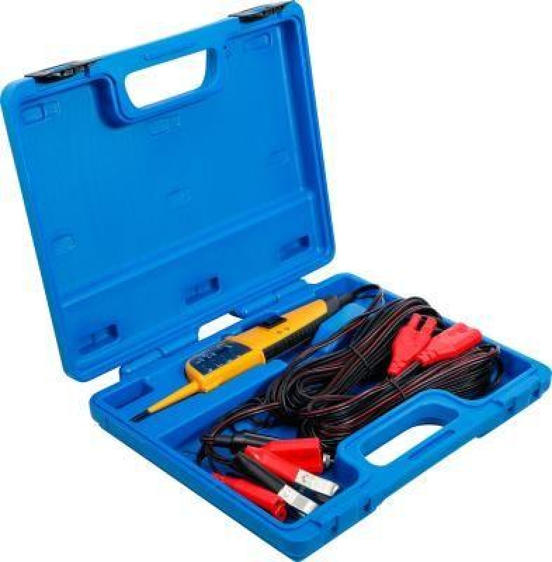 BGS Voltage Detector