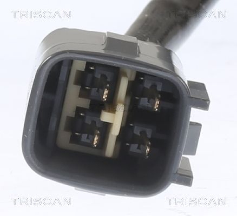 TRISCAN Lambdasonde