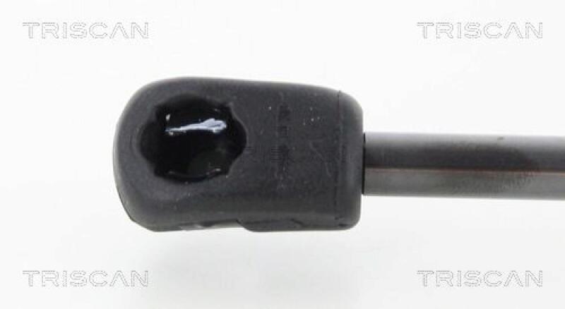 TRISCAN Gas Spring, boot-/cargo area