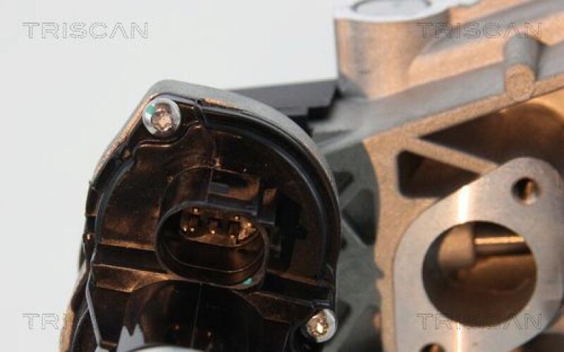 TRISCAN EGR Valve