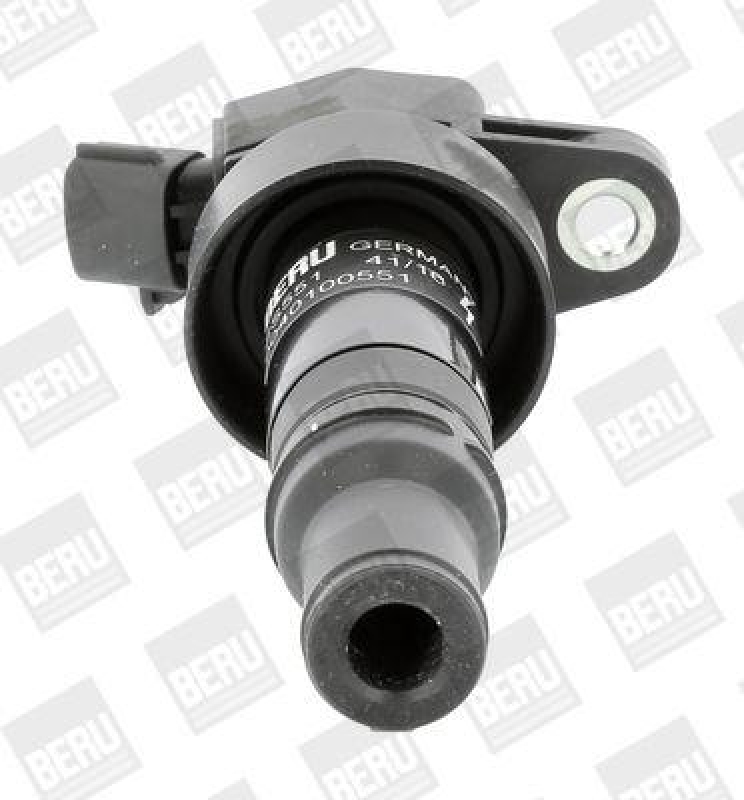 BorgWarner (BERU) Ignition Coil