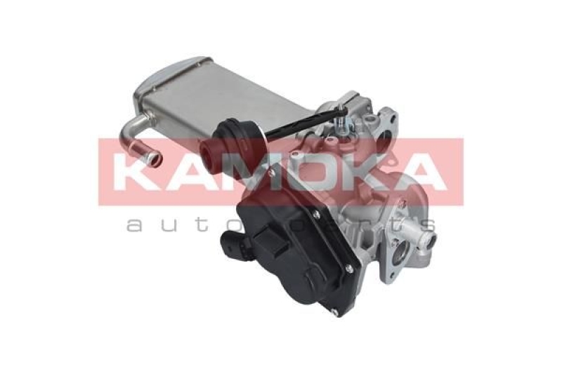 KAMOKA EGR Module