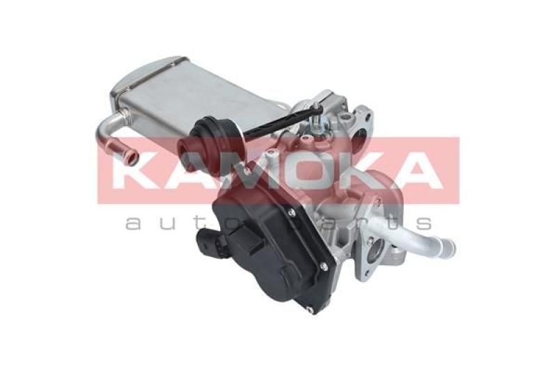 KAMOKA EGR Module