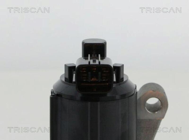 TRISCAN EGR Valve