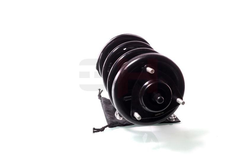 Komplett Sto&szlig;d&auml;mpfer Federbein Satz Vorne links rechts passend f&u...