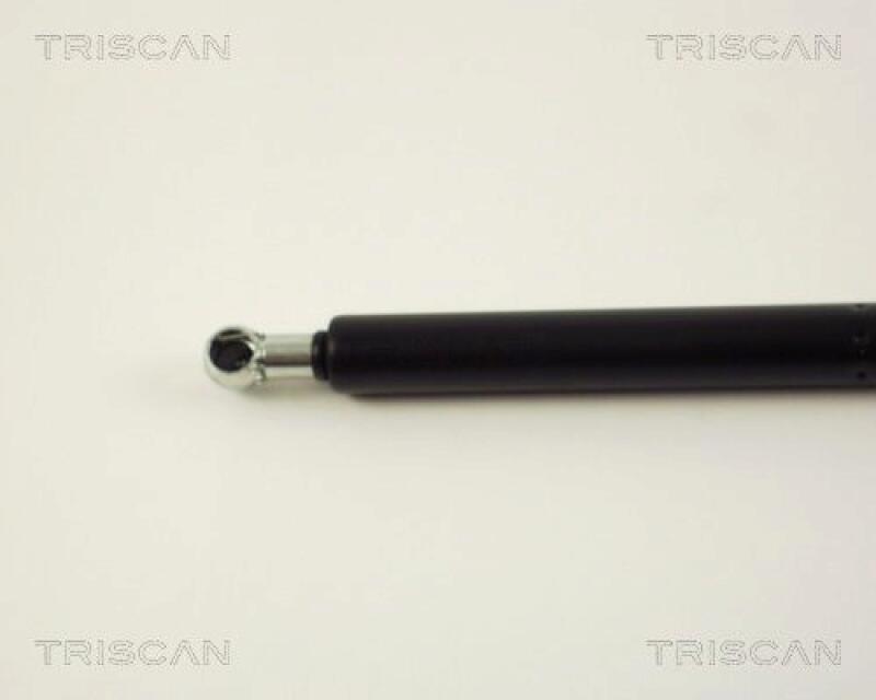 TRISCAN Gas Spring, boot-/cargo area