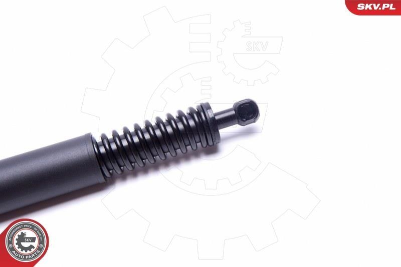 ESEN SKV Gasfeder, Koffer-/Laderaum