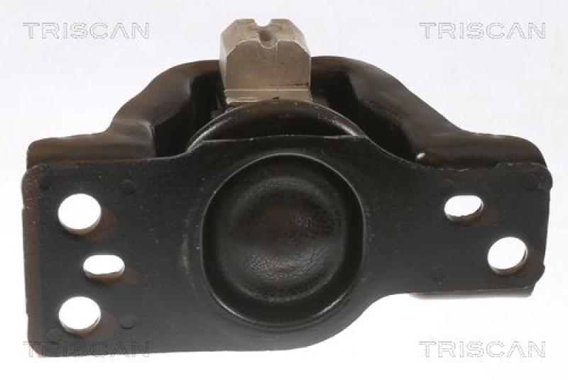 TRISCAN Mounting, engine