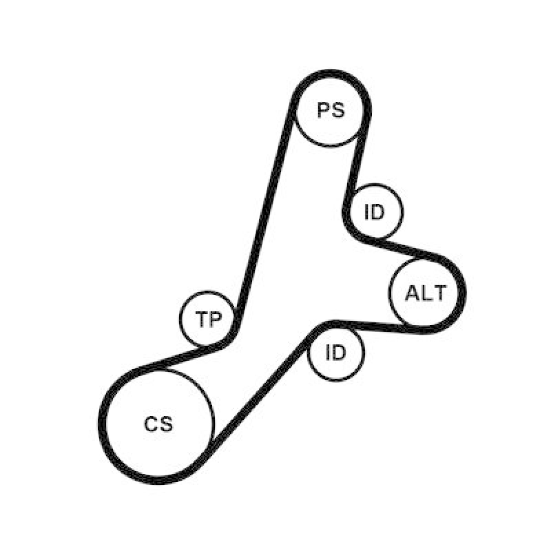CONTITECH V-Ribbed Belt Set