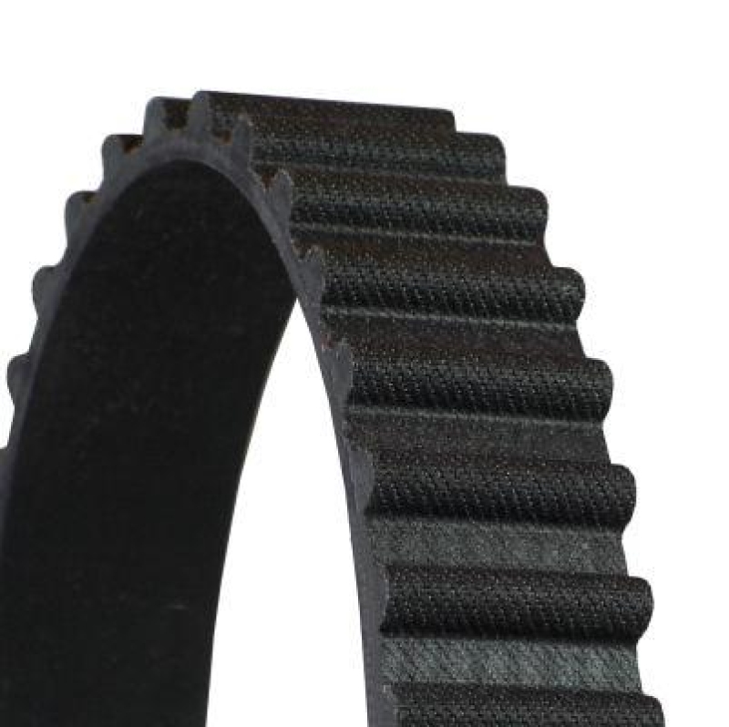 CONTITECH Timing Belt