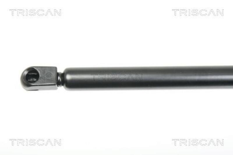 TRISCAN Gas Spring, boot-/cargo area