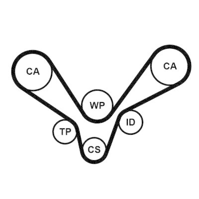 CONTITECH Timing Belt