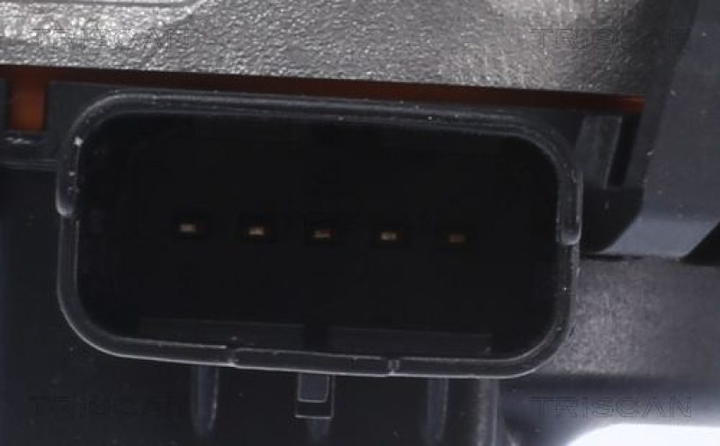 TRISCAN EGR Valve
