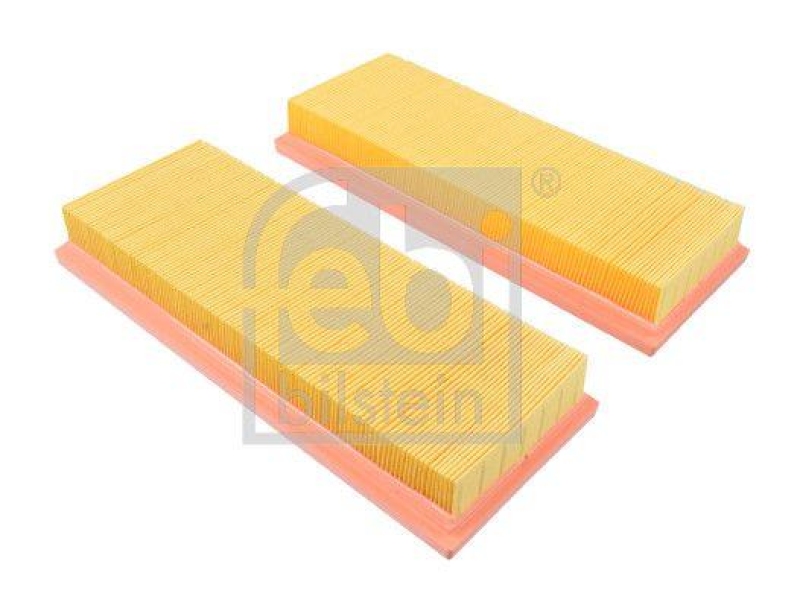 FEBI BILSTEIN Luftfiltersatz 172282