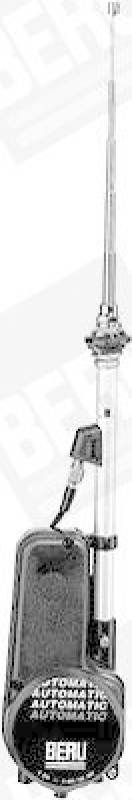 BERU by DRiV Antenne