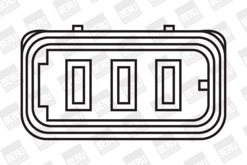 BorgWarner (BERU) Ignition Coil