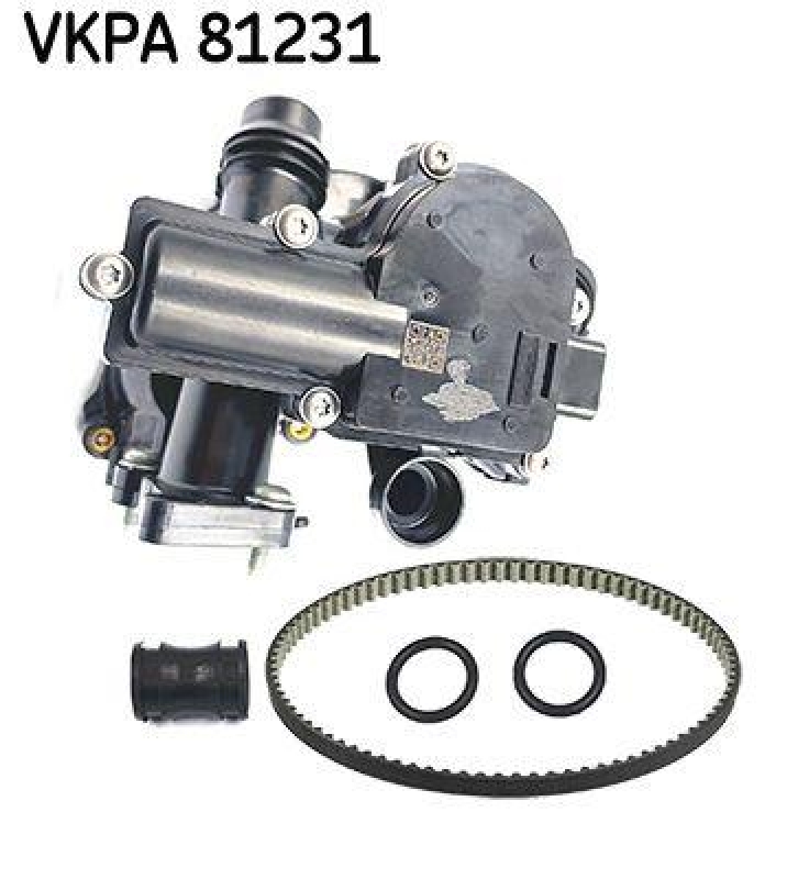 SKF Wasserpumpe, Motorkühlung Aquamax VKPA81231