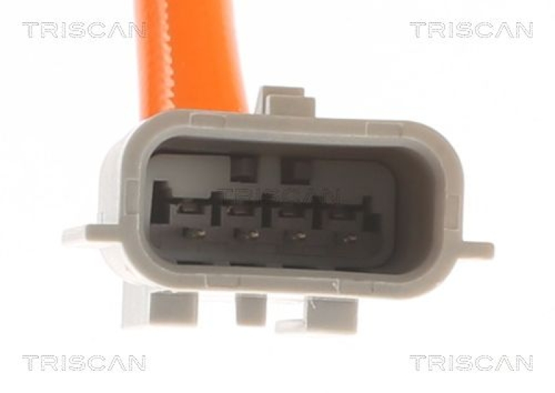 TRISCAN Lambdasonde