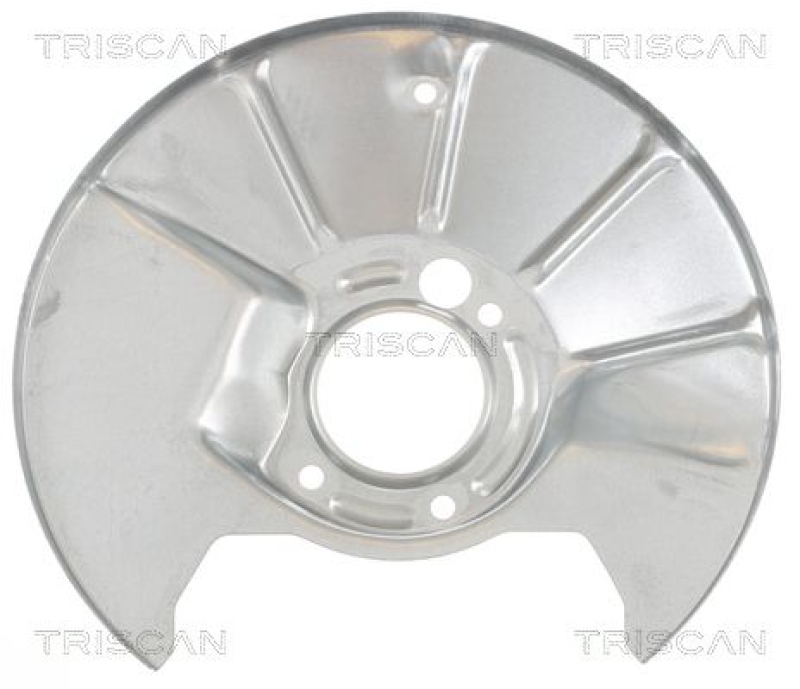 TRISCAN Splash Panel, brake disc