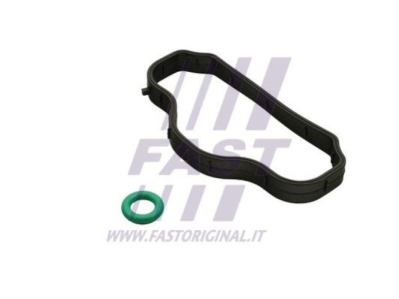 FAST Seal Ring, cylinder head cover bolt