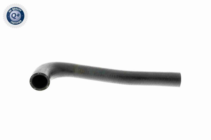 VAICO K&uuml;hlerschlauch Q+, Erstausr&uuml;sterqualit&auml;t V10-3203