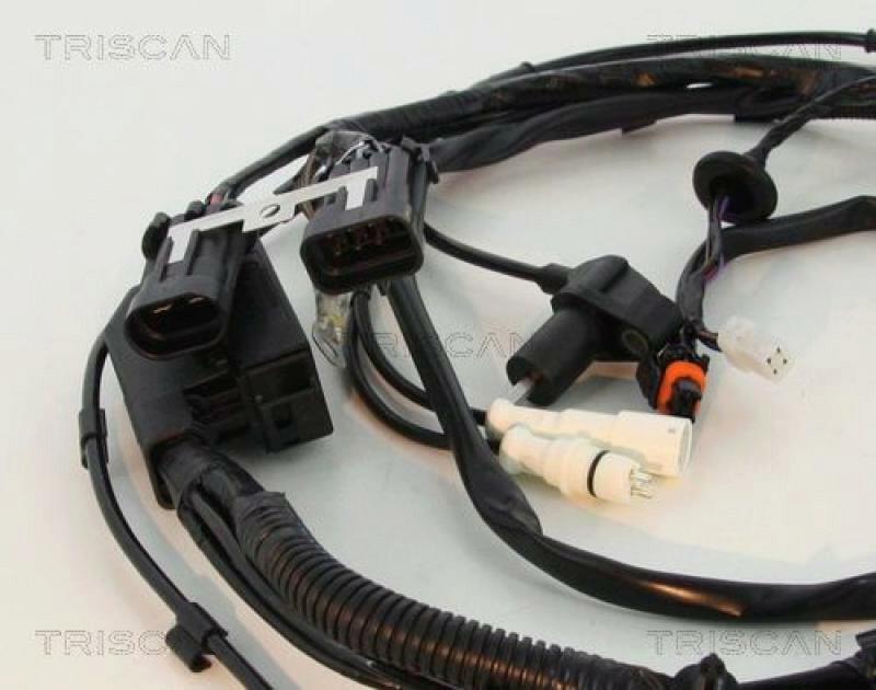 TRISCAN Sensor, wheel speed