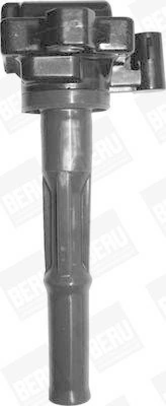 BorgWarner (BERU) Z&uuml;ndspule ZS473