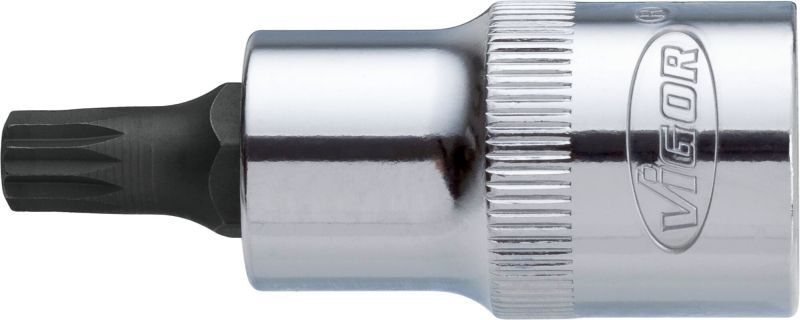 VIGOR Socket