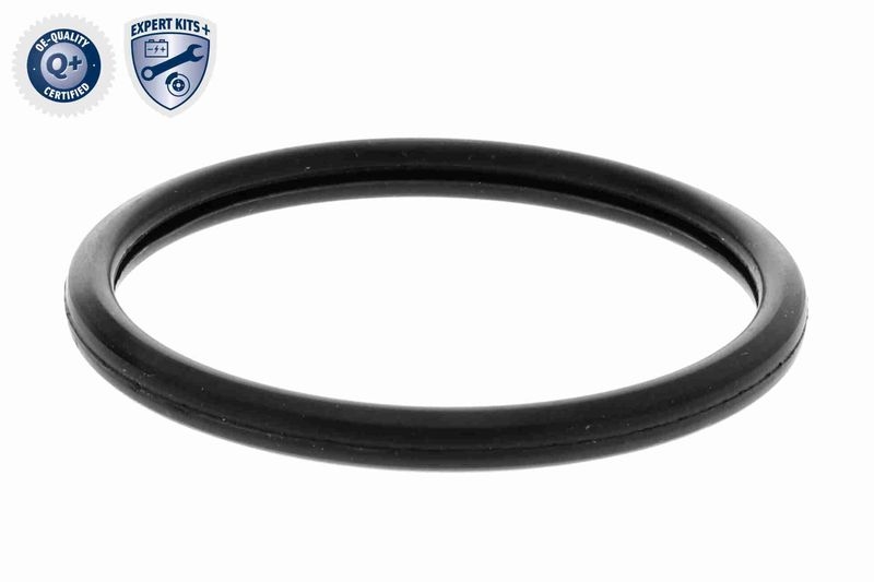 ACKOJA Thermostat, coolant EXPERT KITS +