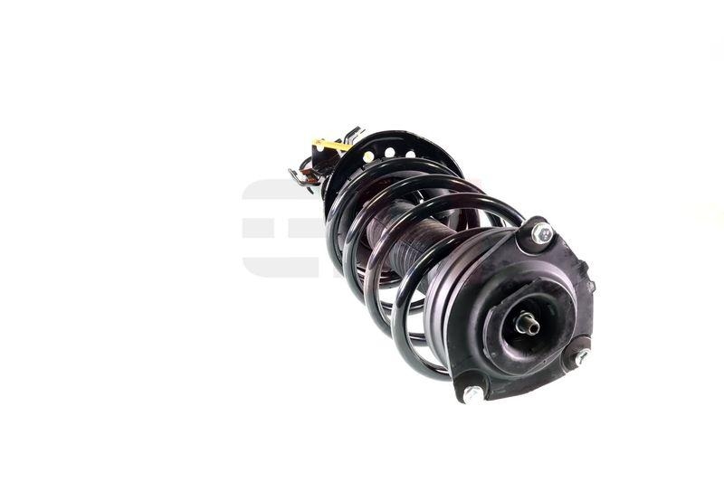 Komplett Sto&szlig;d&auml;mpfer Federbein Satz Vorne links rechts passend f&u...