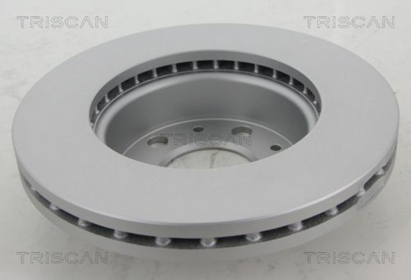 2x TRISCAN Bremsscheibe COATED 8120 101006C