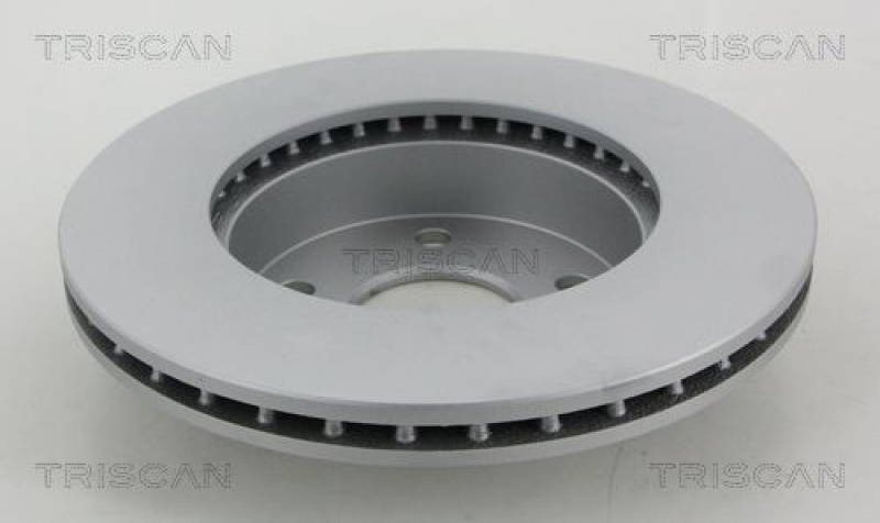 2x TRISCAN Bremsscheibe COATED 8120 101009C