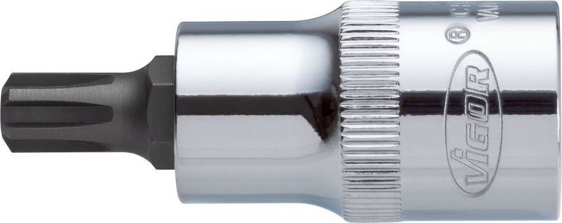 VIGOR Socket