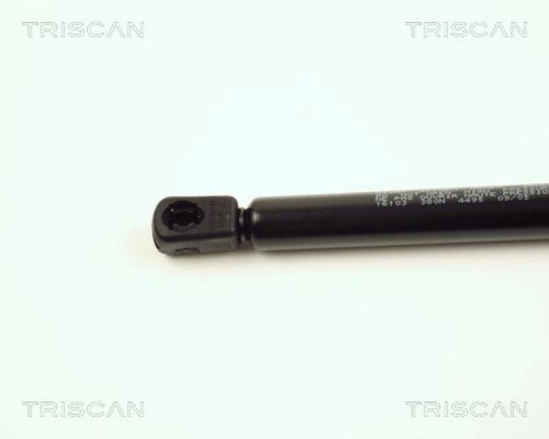 TRISCAN Gas Spring, bonnet