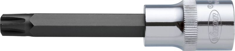 VIGOR Socket