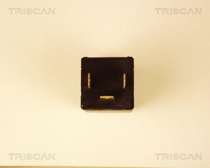 TRISCAN Flasher Unit