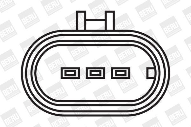 BorgWarner (BERU) Ignition Coil