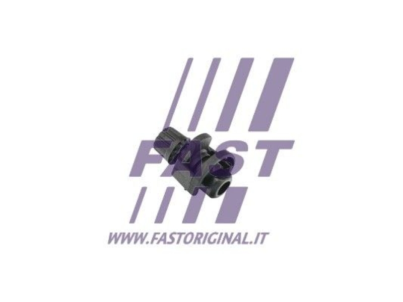 FAST Entlüfterschraube/-ventil, Kühler FT55870