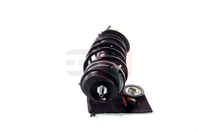 Komplett Sto&szlig;d&auml;mpfer Federbein Satz Vorne links rechts passend f&u...