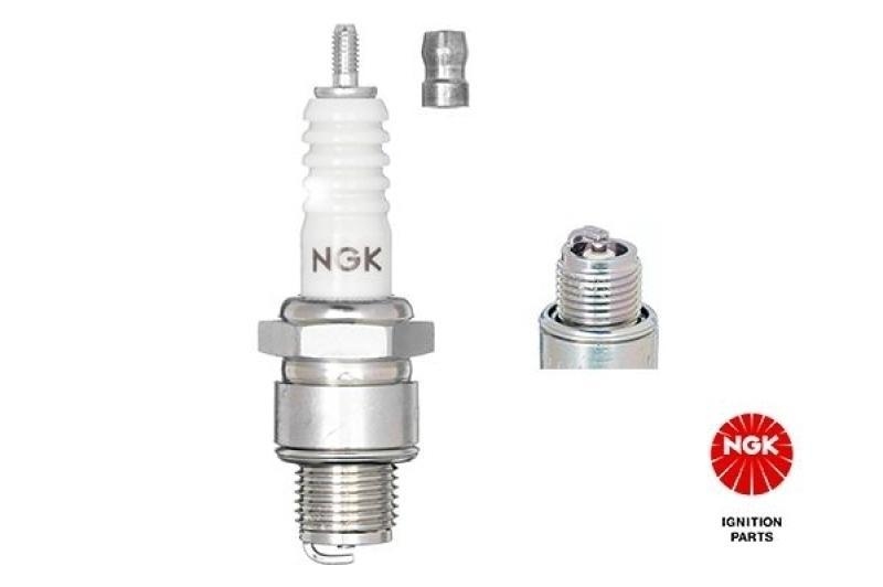 NGK Spark Plug