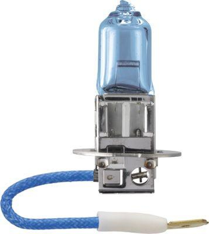 PHILIPS Glühlampe MasterDuty BlueVision