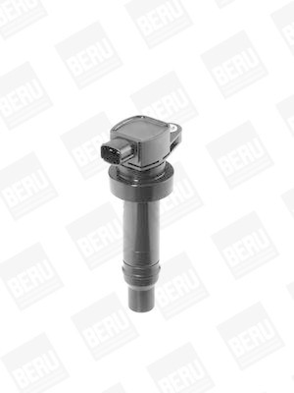 BorgWarner (BERU) Ignition Coil