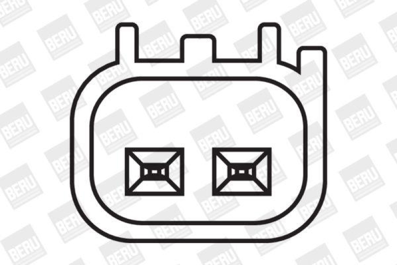 BorgWarner (BERU) Ignition Coil