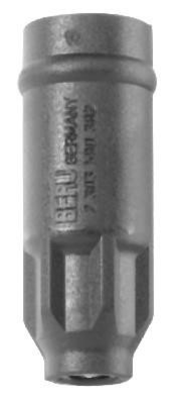 BorgWarner (BERU) Protective Cap, ignition coil plug