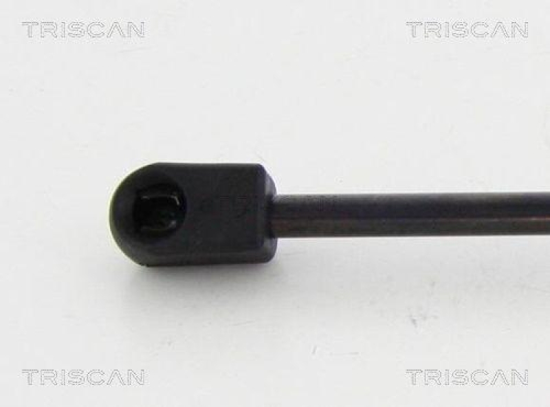TRISCAN Gasfeder, Koffer-/Laderaum