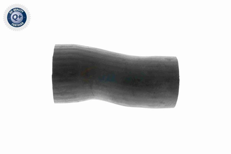 VAICO Ladeluftschlauch Q+, Erstausrüsterqualität