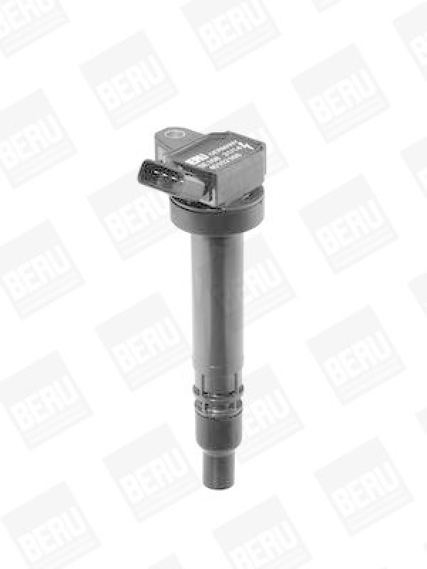 BorgWarner (BERU) Zündspule