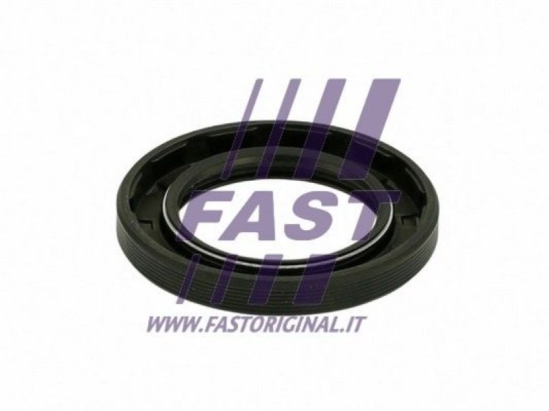 FAST Wellendichtring, Differential