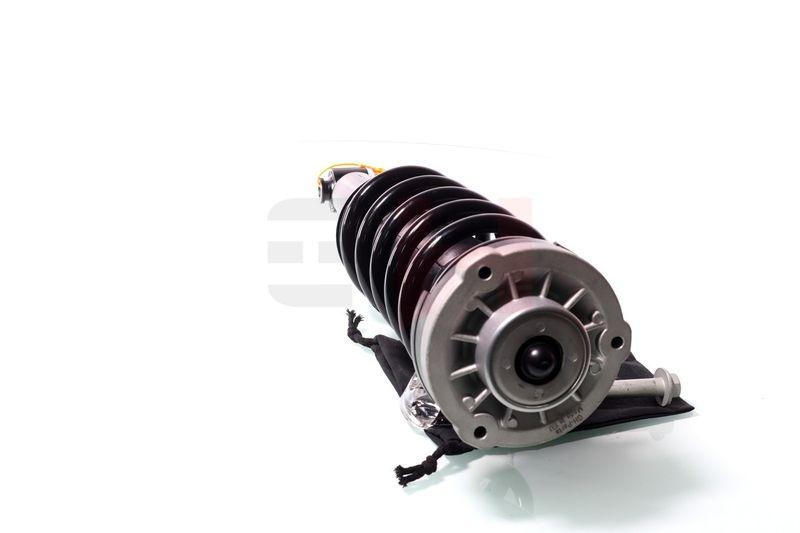 Komplett Sto&szlig;d&auml;mpfer Federbein Satz Hinten links rechts passend f&...