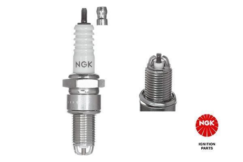 NGK Spark Plug